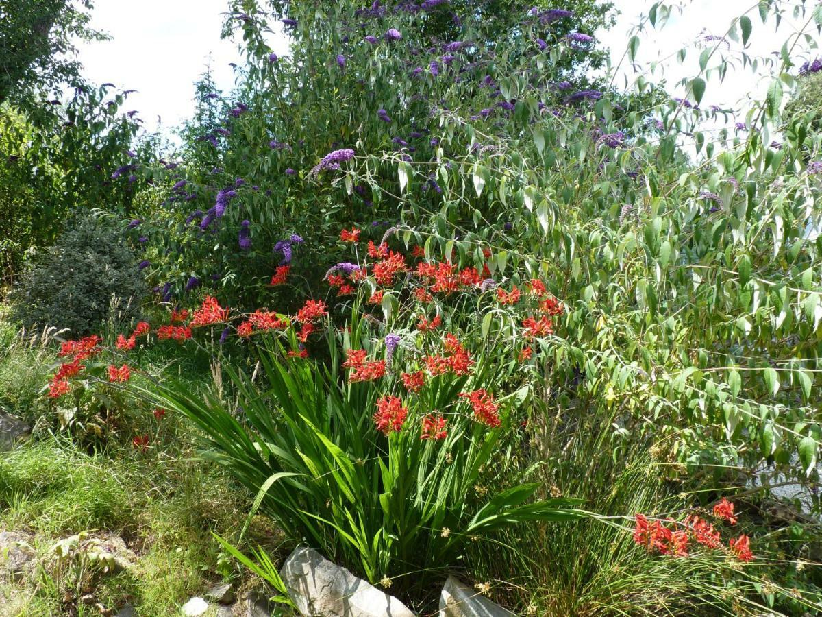 Holiday home La Longere Lonlay-l'Abbaye